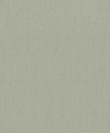 Обои для мансарды Rasch Mandalay 528541