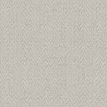 Серо-бежевые обои Alessandro Allori Bruni 1002-28 RBN