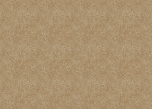 Обои шириной 70 см и длиной 10,05 метров Zambaiti Trussardi VIII Z30349